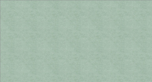 Excelsior Farbe 312